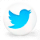Twitter Icon