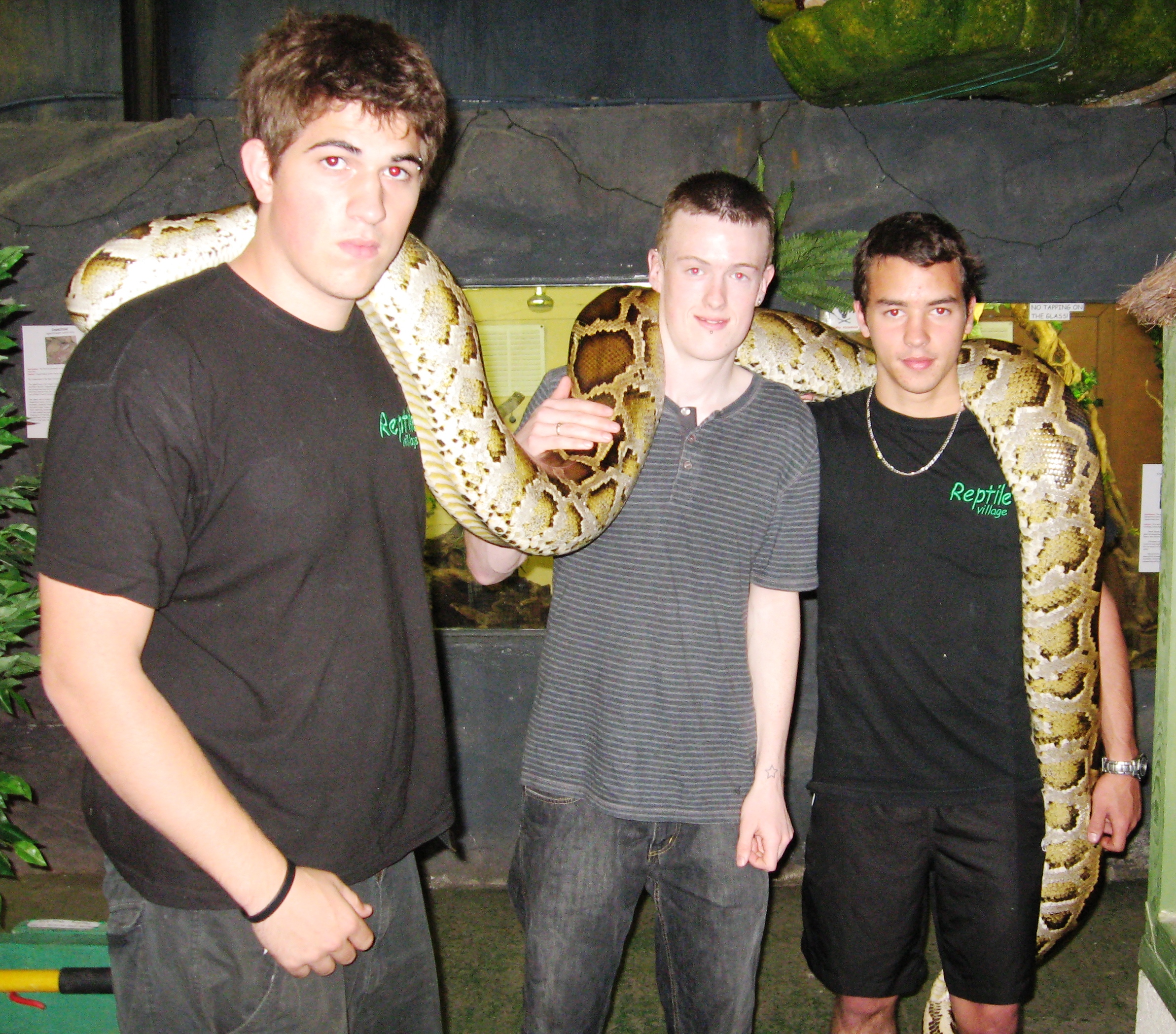 Hugo Yohann Visior Burm