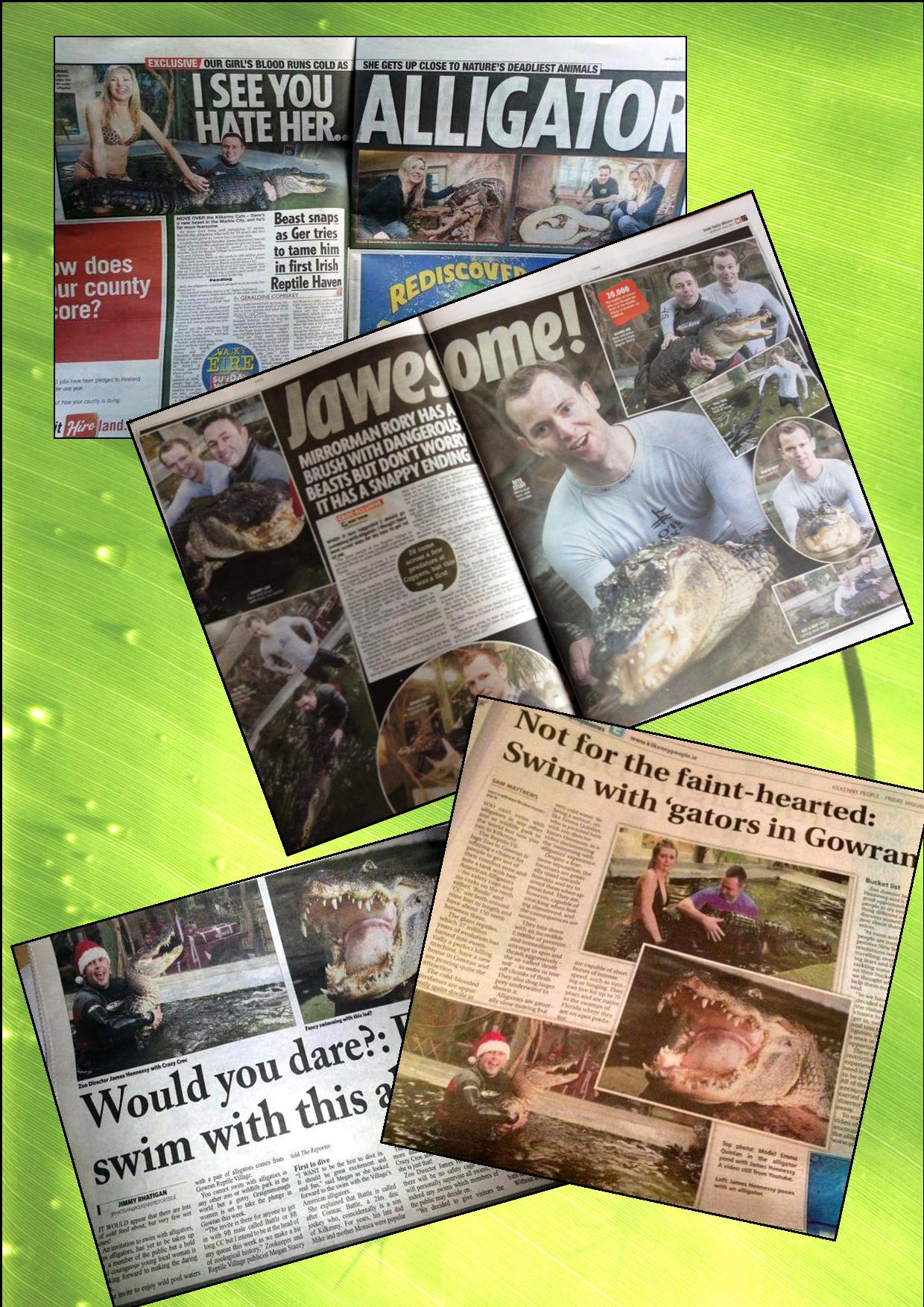 Press Collage Jan and Feb 2013